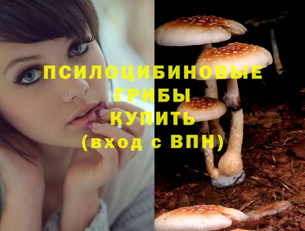 МДМА Кулебаки
