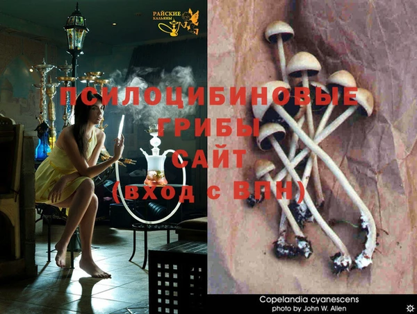 бошки Куйбышев