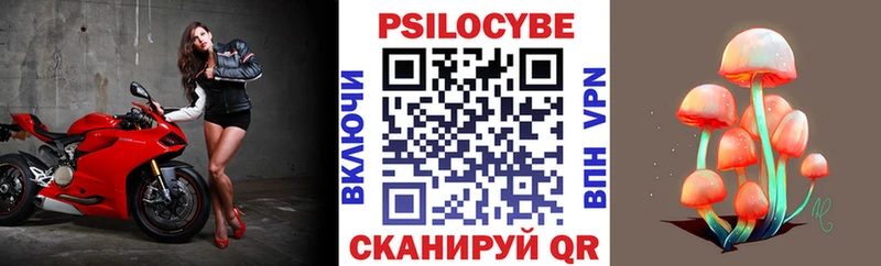 Псилоцибиновые грибы Psilocybine cubensis  Купить где  Бор 